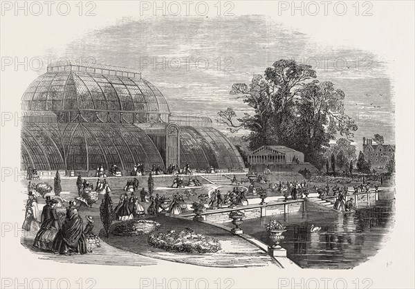 THE PALMHOUSE, KEW GARDENS, LONDON, UK, 1859
