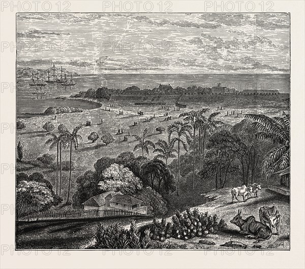 VIEW OF POINT DE GALLE, CEYLON, SRI LANKA