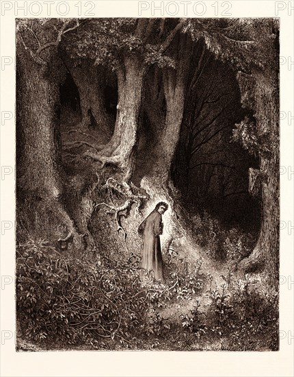 DANTE IN THE GLOOMY WOOD, BY Gustave Doré.  Dore, 1832 - 1883, French. Engraving for the Inferno by Dante. 1870, Art, Artist, romanticism, colour, color engraving