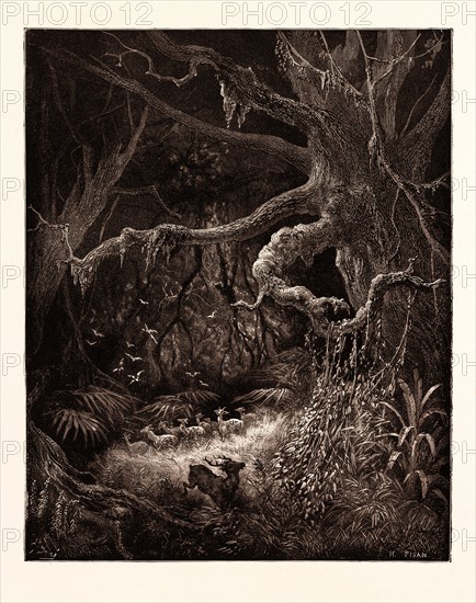 THE FORESTS ON THE BANKS OF THE MISSISSIPPI, BY Gustave Doré. Dore, 1832 - 1883, French. Engraving for Atala by Chateaubriand. 1870, Art, Artist, romanticism, colour, color engraving