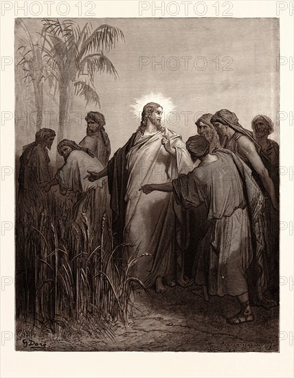 JESUS AND HIS DISCIPLES IN THE CORN FIELD, BY Gustave Doré. Gustave Dore, 1832 - 1883, French. Engraving for the Bible. 1870, Art, Artist, holy book, religion, religious, christianity, christian, romanticism, colour, color engraving