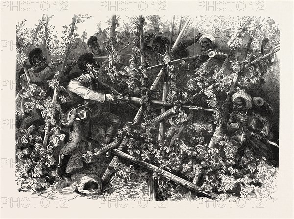 FRANCO-PRUSSIAN WAR: FIGHT BETWEEN THE BAVARIAN INFANTRY, THE TURCOS AND THE ZOUAVES, IN THE  HOP FIELDS NEAR WISSEMBOURG THE 4 August 1870