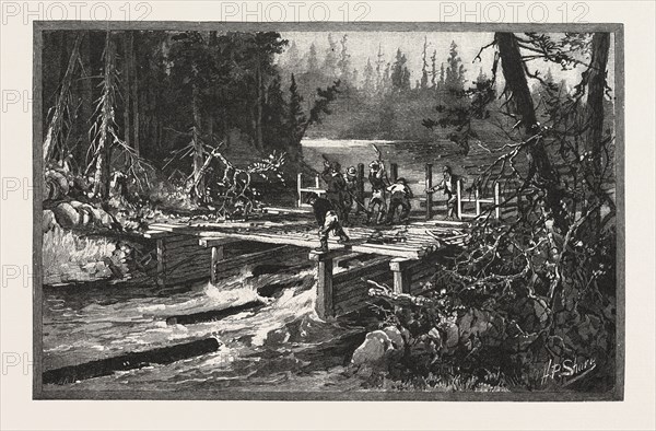 DAM ON TUQUE CREEK, LUMBERING, CANADA, NINETEENTH CENTURY ENGRAVING