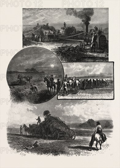 MANITOBA, MODERN PRAIRIE FARMING, CANADA, NINETEENTH CENTURY ENGRAVING