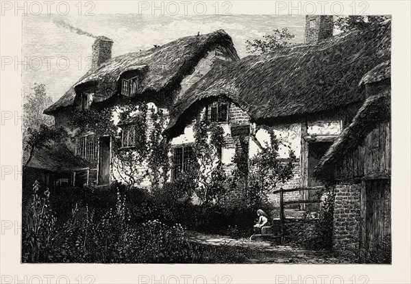 ANNE HATHAWAY'S COTTAGE, Stratford upon Avon, Stratford-upon-Avon, UK, britain, british, europe, united kingdom, great britain, european