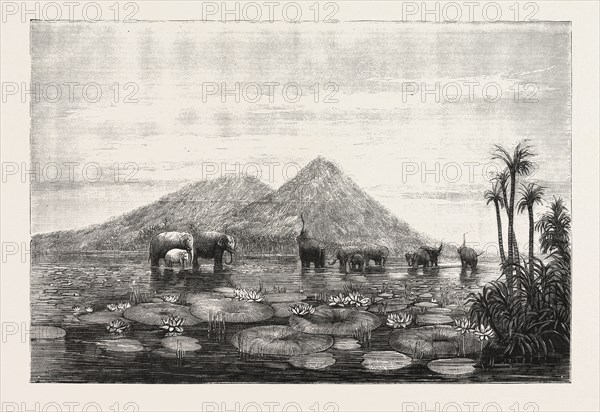 THE GREAT TANK OF MINERY IN THE ISLAND OF CEYLON, CONSTRUCTED BY KING MAHA SEN, 500 YEARS B.C., Sri Lanka, engraving 1876