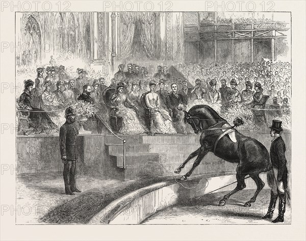 THE PRINCE AND PRINCESS OF WALES TO THE CRYSTAL PALACE THE ROYAL PARTY WITNESSING THE PERFORMANCE OF MYER'S CIRCUS, ENGRAVING 1876, UK, britain, british, europe, united kingdom, great britain, european