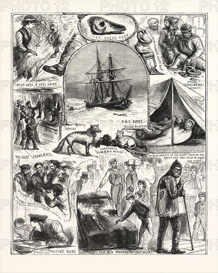 RETURN OF THE ARCTIC EXPEDITION, SKETCHES ON BOARD HER MAJESTY'S SHIPS ALERT AND DISCOVERY, AT QUEENSTOWN, NEW ZEALAND, ON OCT. 1876