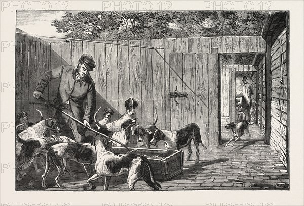 FOX HUNTING, BREAKFAST TIME AT THE KENNELS, HUNT, ENGRAVING 1876, UK, britain, british, europe, united kingdom, great britain, european