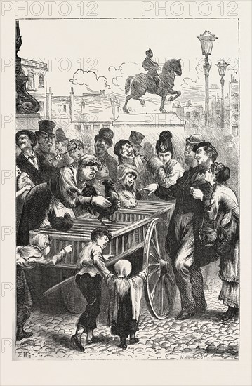 THE LAST LOT, PARIS, FRANCE, 1870; CHICKEN AND RABBIT