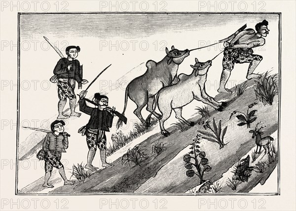 LIFE OF A BURMESE DACOIT, BUT ON REACHING MAN'S ESTATE JOINS A BAND OF DACOITS AND CATTLE LIFTERS, engraving 1890