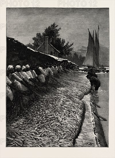 THE AMERICAN FISHERIES QUESTION, SHAD FISHING ON THE POTOMAC, US, USA, America, United States, engraving 1890
