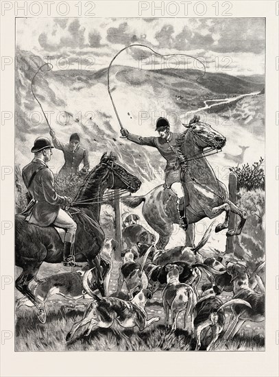 THROUGH FIRE TO FREEDOM, AN INCIDENT OF A RUN WITH THE DEVON AND SOMERSET STAGHOUNDS, engraving 1890, UK, U.K., Britain, British, Europe, United Kingdom, Great Britain, European