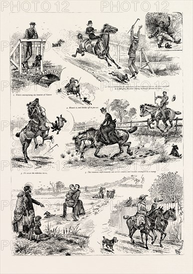 THE ADVENTURES OF TWO RUNAWAY HORSES, AND WHAT CAME OF IT, engraving 1890, engraved image, history, arkheia, illustrative technique, engravement, engraving, victorian, Arts, Culture, 19th Century Style, Retro Styled, Vintage, retro, nineteenth century engraving, historic art