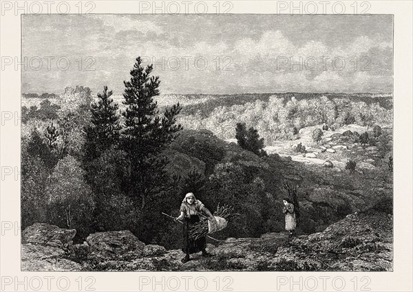 GORGE FRANCHARD, FOREST OF FONTAINEBLEAU, FRANCE, 19th century engraving