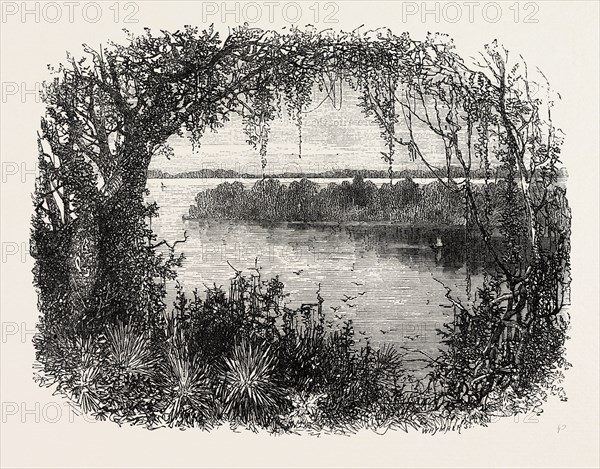 A VISTA IN SOUTH CAROLINA, UNITED STATES OF AMERICA, US, USA, 1870s engraving