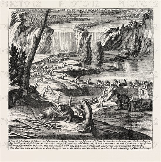 NIAGARA AND THE BEAVER DAMS. From Moll's New and Exact Map, 1715. NORTH AMERICA, US, USA, 1870s engraving