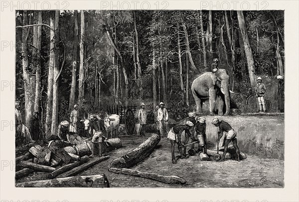 NATIVES FELLING TIMBER IN A FOREST  PERSEVERANCE PROPERTY, GOLD MINING IN WYNAAD, INDIA, engraving 1884