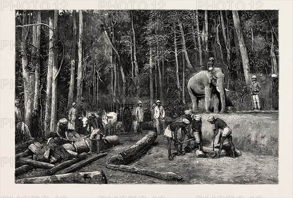 NATIVES FELLING TIMBER IN A FOREST PERSEVERANCE PROPERTY, GOLD MINING IN WYNAAD, INDIA, engraving 1884