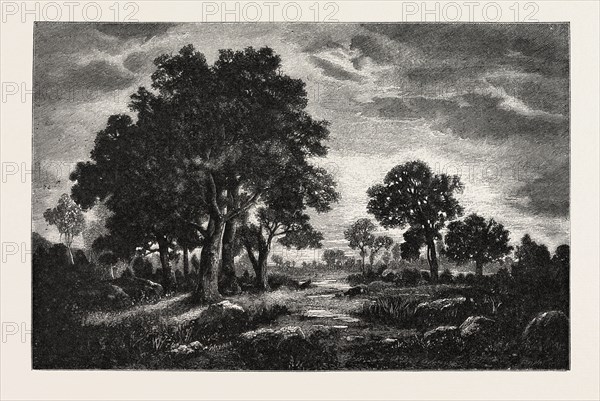 AT FONTAINEBLEAU, FRANCE,  ENGRAVING 1882