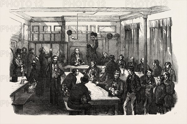 FANCY DOG SHOW, 1851 engraving