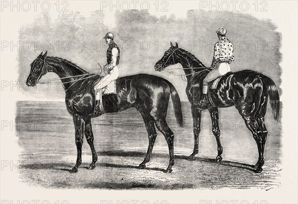 YORK SPRING MEETING, GREAT NATIONAL MATCH FOR Â£1000; HORSE ON THE LEFT: FLYING DUTCHMAN, THE WINNER; HORSE ON THE RIGHT: VOLTIGEUR, UK, 1851 engraving