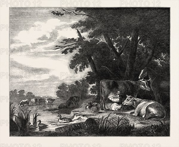THE BRIDGEWATER GALLERY, MILKING COWS PAINTED BY AELBERT CUYP, 1620-1691, DUTCH PAINTER, 1851 engraving