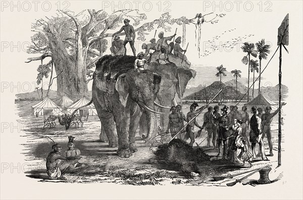HIGH LAND OF BEERBHOOM, A PARTY, INCLUDING TWO ELEPHANTS, RETURNING FROM BEAR-SHOOTING, BIRBHUM, INDIA, 1851 engraving