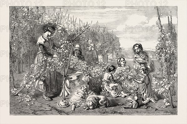 EXHIBITION OF THE NEW SOCIETY OF PAINTERS IN WATER COLOURS: HOPPERS PAINTED BY WILLIAM LEE; HOP PICKING, 1851 engraving