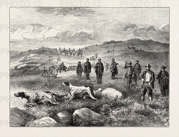 POINTER AND SETTER GROUSE TRIALS AT RHIWLAS, NORTH WALES: GENERAL VIEW OF THE GROUND, UK, 1873 engraving