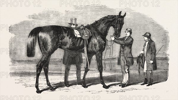 RUPEE, THE WINNER OF THE ASCOT CUP, UK, 1860 engraving