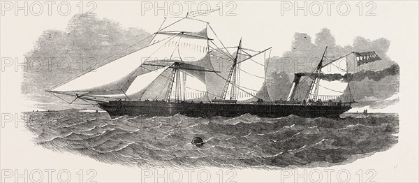 THE LONDON AND ROTTERDAM SCREW STEAMER, "APOLLO"