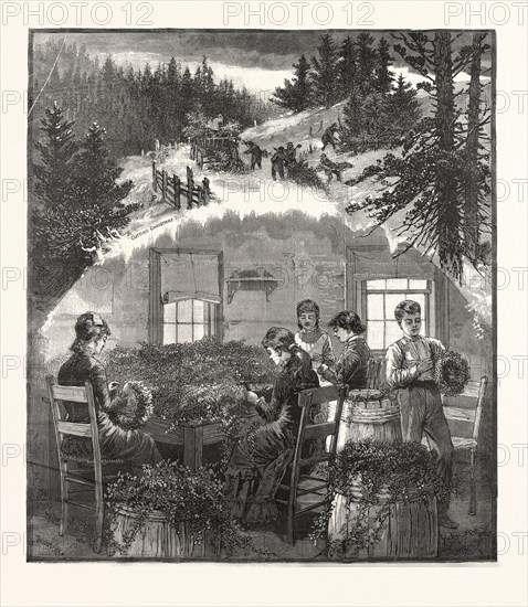 MAKING WREATHS, PREPARING CHRISTMAS GREENS, US, USA, AMERICA, UNITED STATES, AMERICAN, ENGRAVING 1880