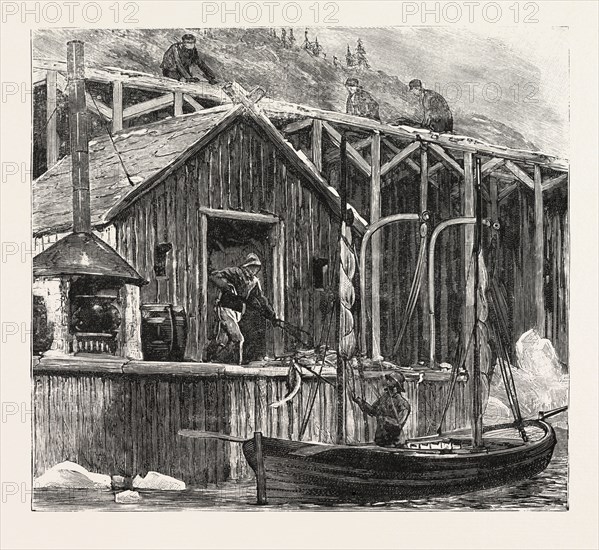 THE NEWFOUNDLAND FISHERIES QUESTION: BRITISH FISHING ROOM ON THE FRENCH SHORE, CANADA, 1890 engraving