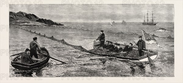 THE NEWFOUNDLAND FISHERIES QUESTION: BRITISH MAN OF WAR REMOVING AND CONFISCATING NEWFOUNDLAND SALMON NET, LEAVING FRENCH NET UNTOUCHED, CANADA, 1890 engraving