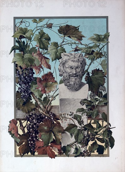 The plant, grapes, bacchus, wine, mythology, vine, symbol, statue, sculpture, 19th century, green, leaf, branch, floral, decoration, botanic, food and drink, lizt gourmet archive, viticulture, grapevine