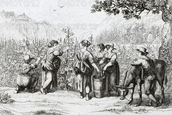 The harvest in Tivoli, La vendemmia in Tivoli, 1840 by B. Pinelli, Italy, harvest of the grapes. wine, winemaking, winery, grape, viticulture, ripe, rural, 19th century, food and drink, liszt gourmet archive