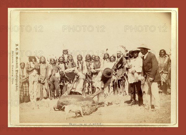 Skinning beef at beef issue, John C. H. Grabill was an american photographer. In 1886 he opened his first photographic studio
