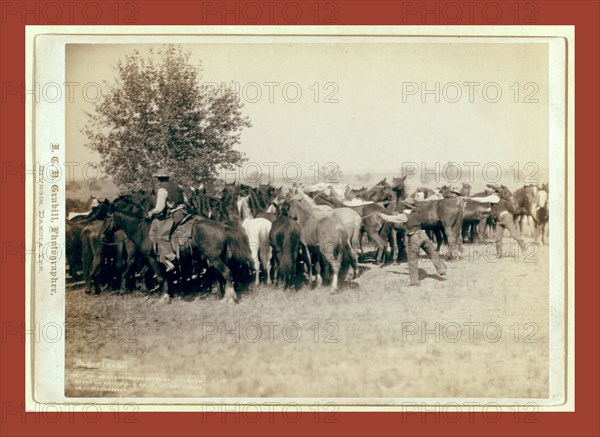 Roping and changing scene at --T Camp on round up of --T. 999 --S. & G., A.U.T. and others on Cheyenne River, John C. H. Grabill was an american photographer. In 1886 he opened his first photographic studio