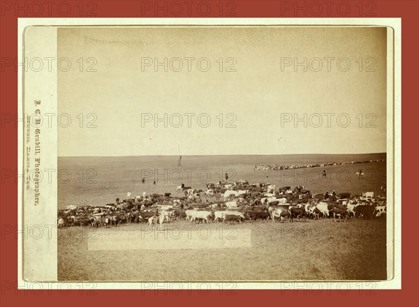 Round-up scenes on Belle Fouche [sic] in 1887, John C. H. Grabill was an american photographer. In 1886 he opened his first photographic studio