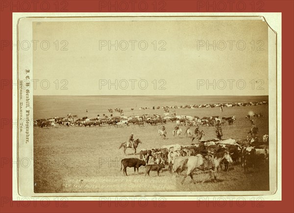 Round-up scenes on Belle Fouche [sic] in 1887, John C. H. Grabill was an american photographer. In 1886 he opened his first photographic studio