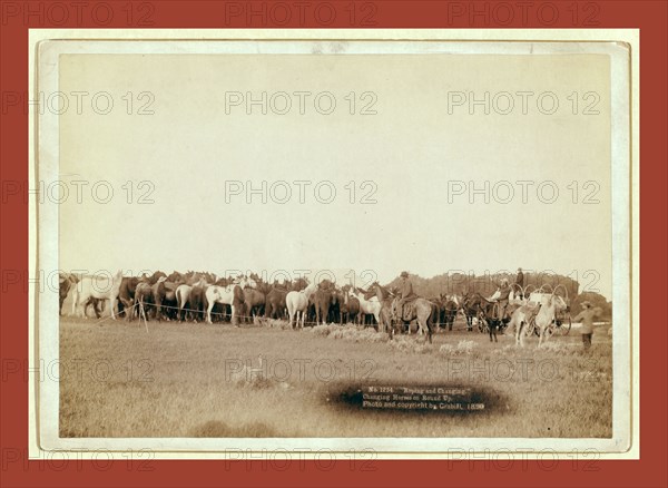 Roping and changing. Changing horses on round up, John C. H. Grabill was an american photographer. In 1886 he opened his first photographic studio