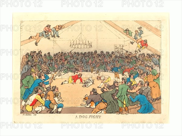Thomas Rowlandson (British, 1756  1827 ), A Dog Fight, 1811, hand colored etching