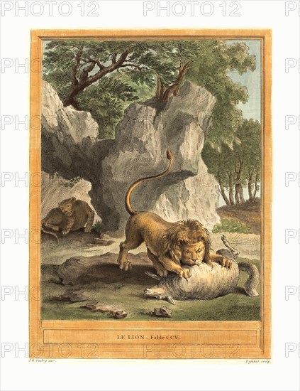 A.J. de Fehrt after Jean Baptiste Oudry (French, born 1723 ), Le lion (The Lion), published 1759, hand colored etching