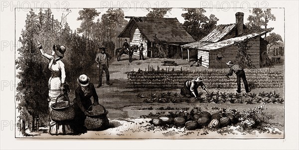 THE ENGLISH GARDEN, Scenes in Rugby, the English Colony in Tennesse, 1880, USA, America, 19th century engraving