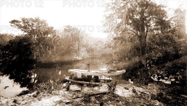Picnic landing on the Tomoka, Jackson, William Henry, 1843-1942, Waterfronts, Rivers, Picnics, United States, Florida, Tomoka River, 1880