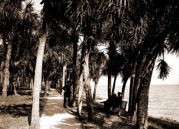 The walk at Rockledge, Indian River, Jackson, William Henry, 1843-1942, Hotels, Trails & paths, Waterfronts, Bays, United States, Florida, Indian River, 1880