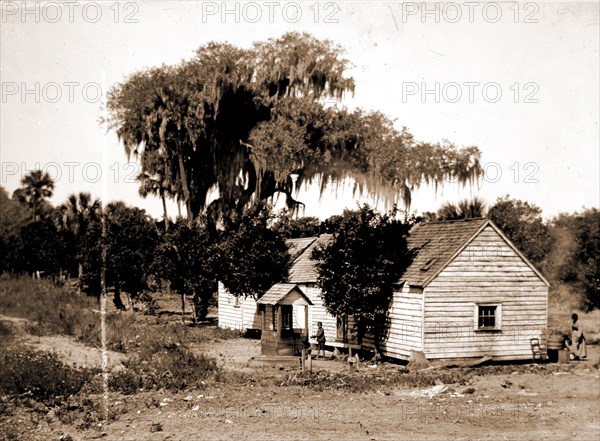 Negro cabin and oaks, Florida, Jackson, William Henry, 1843-1942, Dwellings, African Americans, Trees, Bays, United States, Florida, Indian River, 1880