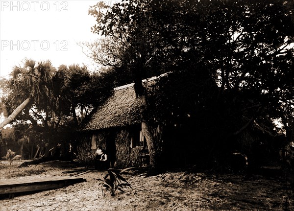 Dawson's, Gem Island, Indian River, Jackson, William Henry, 1843-1942, Bays, Thatched roofs, Dwellings, United States, Florida, Indian River, 1880