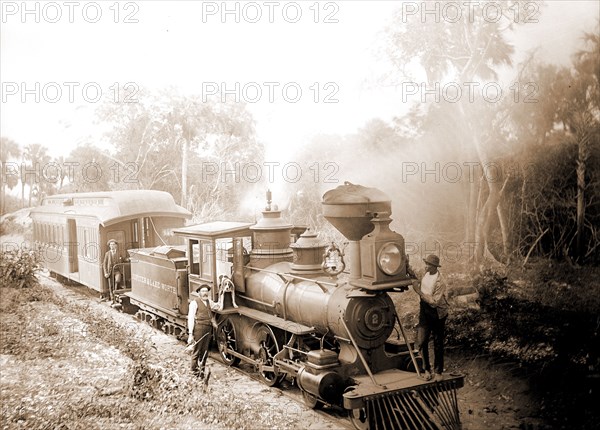 Jupiter & Lake Worth R.R, Jackson, William Henry, 1843-1942, Jupiter & Lake Worth Railroad, Railroad companies, Railroad locomotives, United States, Florida, Jupiter, 1880